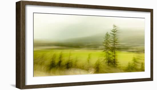 JS_285_Wind Whistling Through The Trees 3-Janet Slater-Framed Photographic Print