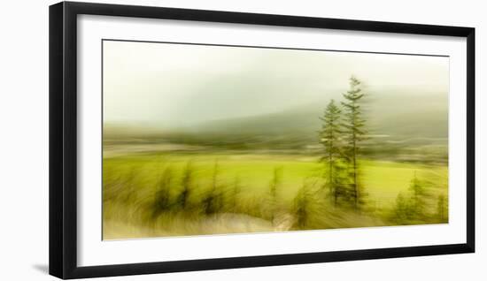 JS_285_Wind Whistling Through The Trees 3-Janet Slater-Framed Photographic Print