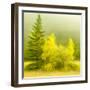 JS_286_Wind Whistling Through The Trees 4-Janet Slater-Framed Photographic Print