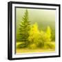 JS_286_Wind Whistling Through The Trees 4-Janet Slater-Framed Photographic Print