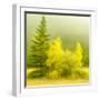 JS_286_Wind Whistling Through The Trees 4-Janet Slater-Framed Photographic Print