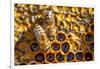 JS_288_Busy As Bees 2-Janet Slater-Framed Photographic Print