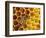 JS_291_Busy As Bees 5-Janet Slater-Framed Photographic Print