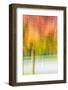 JS_292_Full Glory-Janet Slater-Framed Photographic Print