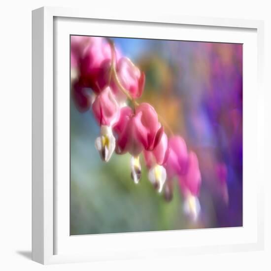 JS_297_A Magical Place-Janet Slater-Framed Photographic Print