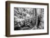 JS_303_Bridge Connecting Here And There-Janet Slater-Framed Photographic Print