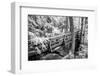 JS_303_Bridge Connecting Here And There-Janet Slater-Framed Photographic Print