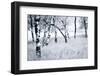 JS_304_Staying Grounded-Janet Slater-Framed Photographic Print