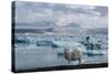 Jškulsarlon - Glacier Lagoon, Morning Light, Sheep-Catharina Lux-Stretched Canvas