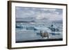 Jškulsarlon - Glacier Lagoon, Morning Light, Sheep-Catharina Lux-Framed Photographic Print