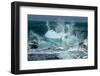 Jškulsarlon, Iceberg Remains on the Atlantic Beach-Catharina Lux-Framed Photographic Print