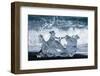 Jškulsarlon, Iceberg Remains on the Atlantic Beach-Catharina Lux-Framed Photographic Print