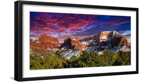 Premium Photographic Print, , large