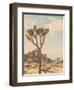 JT-Myan Soffia-Framed Photographic Print