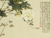 Flowers, from an Album of Ten Leaves-Ju Lian-Giclee Print