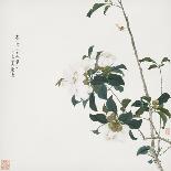 Flowers, from an Album of Ten Leaves-Ju Lian-Giclee Print