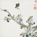 Insects and Flowers I-Ju Lian-Stretched Canvas