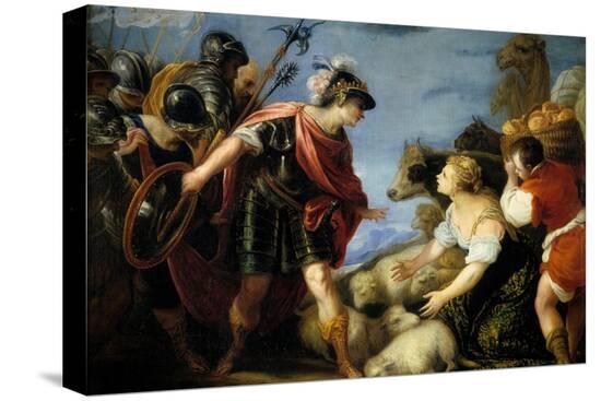 Stretched Canvas Print, , large