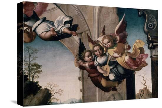 Stretched Canvas Print, , large