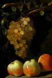 Still Life with Grapes, Birds, Flowers and Shells-Juan de Espinosa-Giclee Print