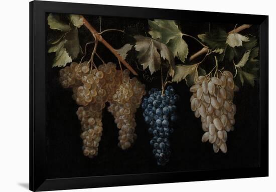 Juan Fernández "el Labrador" / 'Four Bunches of hanging Grapes'. Ca. 1636. Oil on canvas.-JUAN FERNANDEZ EL LABRADOR-Framed Poster