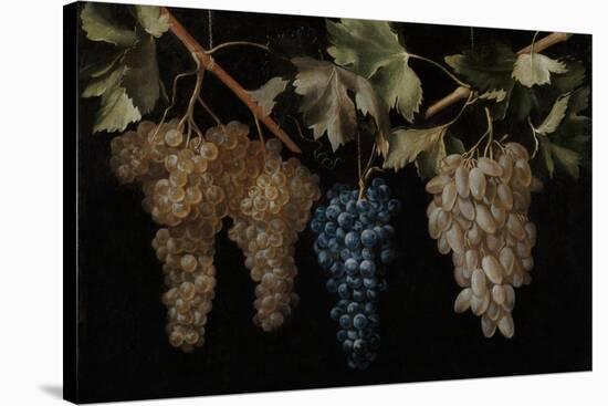 Juan Fernández "el Labrador" / 'Four Bunches of hanging Grapes'. Ca. 1636. Oil on canvas.-JUAN FERNANDEZ EL LABRADOR-Stretched Canvas