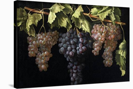 Juan Fernández 'el Labrador' / 'Still Life with Four Bunches of Grapes', ca. 1630, Spanish Scho...-JUAN FERNANDEZ EL LABRADOR-Stretched Canvas