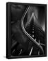 Essential Black