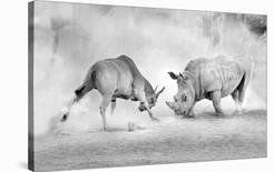 Two elephants-Juan Luis Duran-Framed Photographic Print