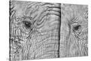 Stretched Canvas