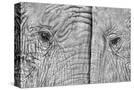 Stretched Canvas