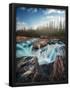 Essential Black