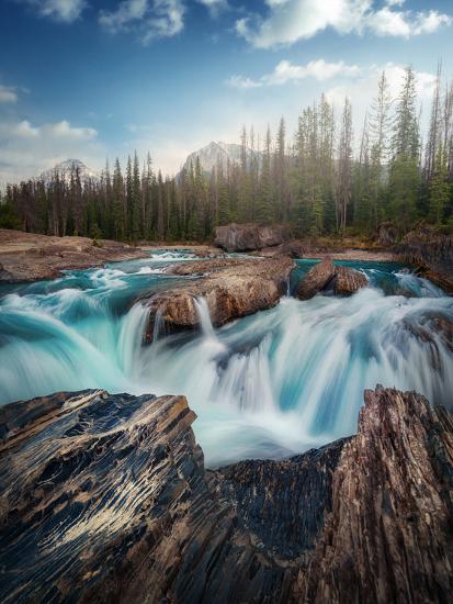 Photographic Print, , large