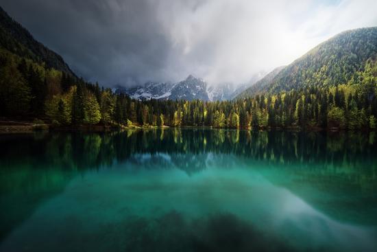 Premium Photographic Print, , large