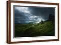 Brown Frame
