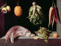 Still Life with Dead Birds, Fruit and Vegetables, 1602-Juan Sanchez Cotan-Giclee Print