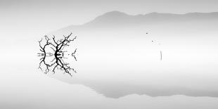 Silhouette of Tree on Misty Lake-Juanluis Duran-Mounted Photographic Print