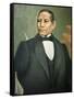 Juarez Garcia, Benito (1806-1872)-null-Framed Stretched Canvas