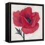 Jubilant Poppy-Ivo Stoyanov-Framed Stretched Canvas