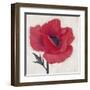 Jubilant Poppy-Ivo Stoyanov-Framed Art Print