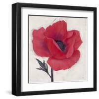 Jubilant Poppy-Ivo Stoyanov-Framed Art Print