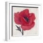 Jubilant Poppy-Ivo Stoyanov-Framed Art Print