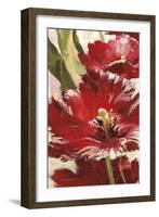 Jubilant Red Tulip Panel 1-Brent Heighton-Framed Art Print