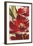 Jubilant Red Tulip Panel 1-Brent Heighton-Framed Art Print