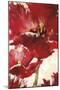 Jubilant Red Tulip Panel 2-Brent Heighton-Mounted Art Print