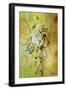 Jubilee I-Rikki Drotar-Framed Giclee Print