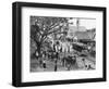 Jubilee Market Square, Kingston, Jamaica, C1905-Adolphe & Son Duperly-Framed Giclee Print