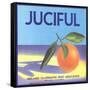 Juciful Orange Crate Label-null-Framed Stretched Canvas