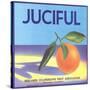 Juciful Orange Crate Label-null-Stretched Canvas