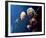 Judas Priest-null-Framed Photo